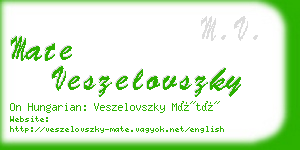 mate veszelovszky business card